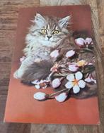 Leuk grijs fluffy katje naast bloemem, Verzenden, 1980 tot heden, Gelopen, Hond of Kat