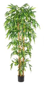Kunstplant bamboe (2 voor 40€), Ophalen, Bloeit niet, Overige soorten, Halfschaduw