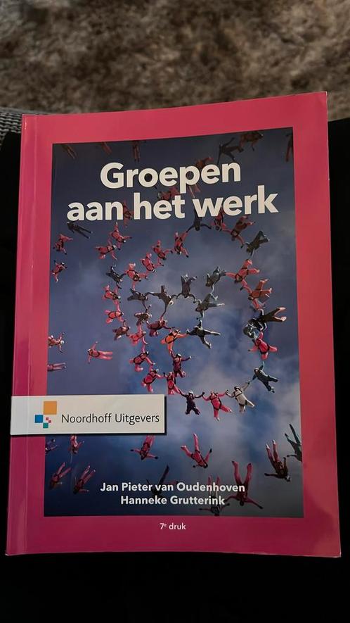 Jan Pieter van Oudenhoven - Groepen aan het werk, Boeken, Psychologie, Gelezen, Sociale psychologie, Ophalen