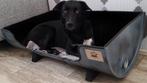 Speciale hondenmand - Regentonlook, Ophalen, Zo goed als nieuw, Overige