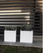 plantenbakken, Tuin en Terras, Kunststof, Gebruikt, Minder dan 30 cm, Minder dan 60 cm