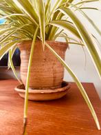 Vintage hangpot / retro bloempot met plant, Tuin en Terras, Bloempotten, Ophalen, Gebruikt, Rond, Binnen