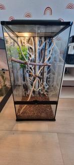 Exo Terra glazen terrarium 45x45x90 met lichtbak, Ophalen, Zo goed als nieuw, Terrarium of Paludarium