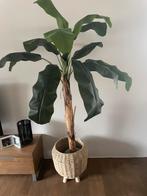 Mooie grote kunstplant met mand, Huis en Inrichting, Woonaccessoires | Kunstplanten en Kunstbloemen, Ophalen of Verzenden, Zo goed als nieuw