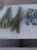 Diverse soorten droogbloemen, Ophalen of Verzenden, Zo goed als nieuw