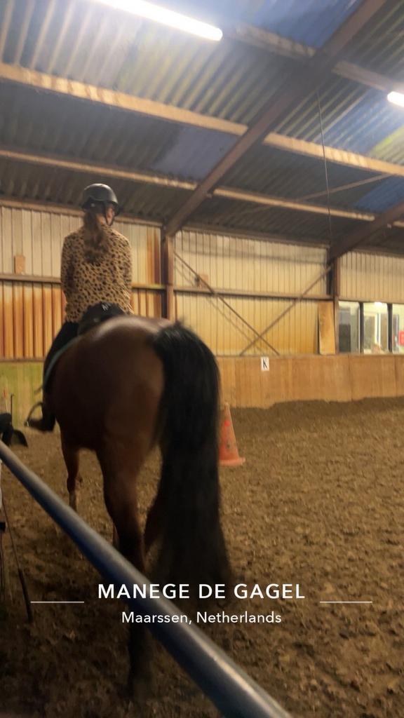 Verzorg pony gezocht, Dieren en Toebehoren, Paarden en Pony's | Verzorgingsproducten, Zo goed als nieuw, Ophalen of Verzenden