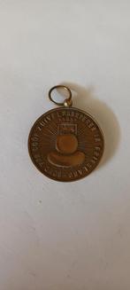Kaaskeuring te giekerk 1972 brons penning, Sieraden, Tassen en Uiterlijk, Ophalen of Verzenden, Zo goed als nieuw, Overige materialen