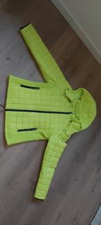 Skijas dames, Superdry, maat XL, Ophalen, Superdry, Maat 42/44 (L), Zo goed als nieuw