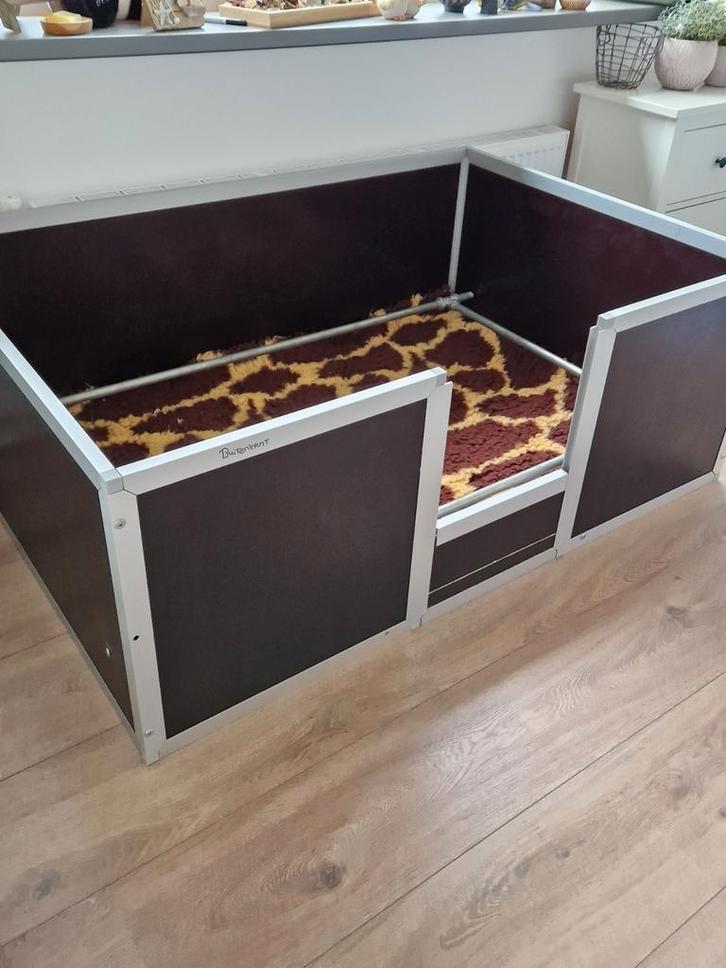 Werpkist voor grote honden TE HUUR, Dieren en Toebehoren, Hondenhokken, Zo goed als nieuw, Minder dan 65 cm, 110 cm of meer, Ophalen