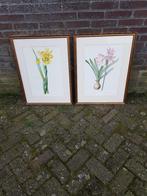 schilderij / tekening bloemen, 2 stuks, Ophalen, Zo goed als nieuw, Minder dan 50 cm, Minder dan 50 cm
