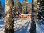 Vakantiehuisje te huur in de natuur van Småland Zuid Zweden, Vakantie, Vakantiehuizen | Zweden, 2 slaapkamers, Landelijk, In bos