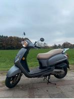 Nette sym fiddle, Ophalen, Gebruikt, Maximaal 45 km/u, Benzine