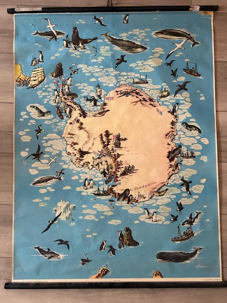 Zuidpoolgebied (Westermann), Antiek en Kunst, Antiek | Schoolplaten, Natuur en Biologie, Ophalen of Verzenden