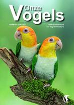 gezocht vogels voor in de fotokooi, Geslacht onbekend, Tropenvogel