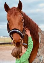 Gezocht geduldige en verstandige verzorger voor jong paard, Dieren en Toebehoren, Paarden en Pony's | Verzorgingsproducten, Nieuw