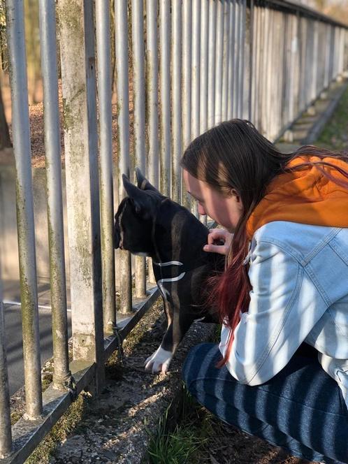 Verzorgster aangeboden voor vakantie, Diensten en Vakmensen, Dieren | Honden | Verzorging, Oppas en Les, Particuliere oppas