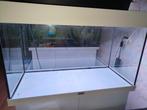 Aquarium: Juwel Rio 125 incl. Helialux spectrum led en kast, Ophalen, Gebruikt, Leeg aquarium