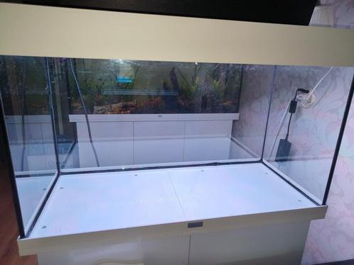 Aquarium: Juwel Rio 125 incl. Helialux spectrum led en kast, Dieren en Toebehoren, Vissen | Aquaria en Toebehoren, Gebruikt, Leeg aquarium