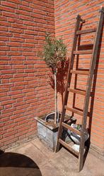 Ladder pluk Frans brocante, Antiek en Kunst, Ophalen