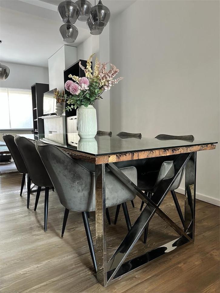 Eettafel en salontafel, Huis en Inrichting, Tafels | Eettafels, Zo goed als nieuw, 50 tot 100 cm, 200 cm of meer, Vijf personen of meer