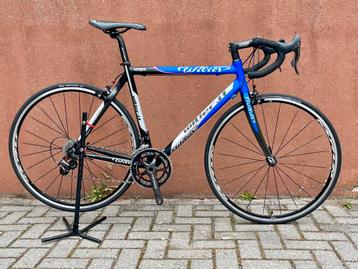Wilier Lampre Team Edition | Campagnolo Centaur carbon beschikbaar voor biedingen