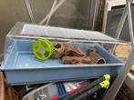Hamster Homes, Ophalen of Verzenden, Gebruikt, Kooi