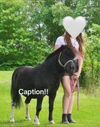 GEZOCHT, Ophalen of Verzenden