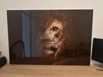 Glazen Schilderij 120x80 - Leeuw, Huis en Inrichting, Woonaccessoires | Schilderijen, Tekeningen en Foto's, Ophalen of Verzenden