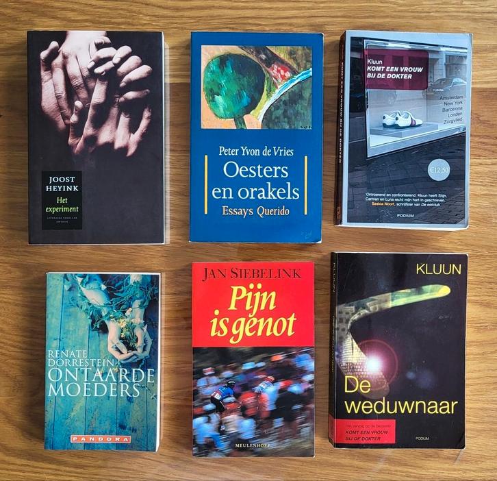 Laatste kans: partij met 12 boeken literatuur voor € 7,50, Boeken, Literatuur, Zo goed als nieuw, Nederland, Ophalen of Verzenden