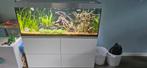 Oase highline optiwhite 400 + toebehoren, Dieren en Toebehoren, Ophalen, Zo goed als nieuw, Gevuld zoetwateraquarium