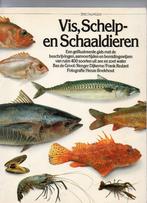 Vis, schelp- en schaaldieren - een geillustreerde gids, Ophalen of Verzenden, Zo goed als nieuw