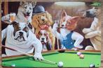 Honden spelen biljart pool reclamebord van metaal wandbord