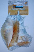 Diverse schelpen voor in het aquarium per zakje € 3.50, Ophalen of Verzenden, Nieuw, Plant(en), Steen of Hout