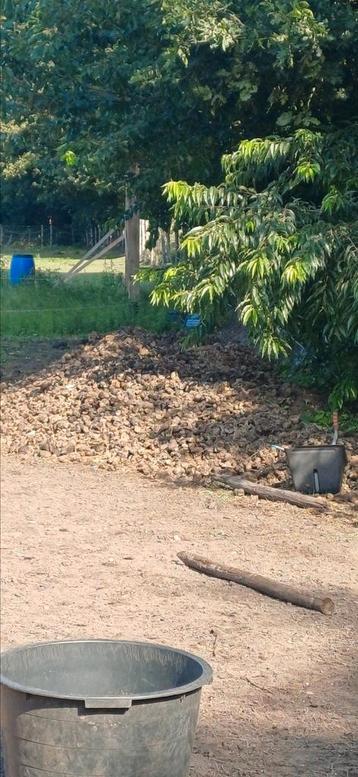 Paardenmest mest bemesting tuin beschikbaar voor biedingen