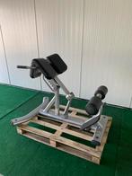 Life fitness back extension hyperextension, Sport en Fitness, Fitnessmaterialen, Overige typen, Gebruikt, Ophalen of Verzenden