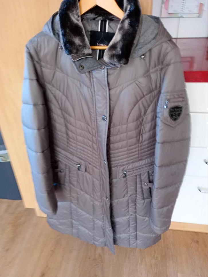 Nieuwe dames winterjas Maat 44, Kleding | Dames, Jassen | Winter, Nieuw, Maat 42/44 (L), Grijs, Ophalen of Verzenden