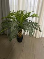 Kunstplanten - Europalms Cycas Palm 65 cm hoog, Ophalen of Verzenden
