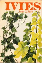 Ivies (klimop), Ophalen of Verzenden, Gelezen, Tuinieren en Tuinplanten