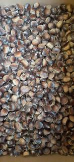 Verse tamme kastanjes, Ophalen of Verzenden