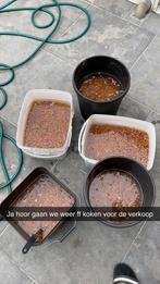 Slijmerige tijgernoten kant en klaar, Ophalen of Verzenden, Nieuw, Overige typen
