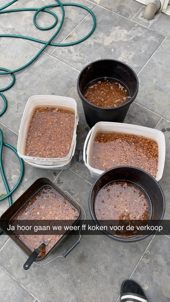 Slijmerige tijgernoten kant en klaar, Watersport en Boten, Hengelsport | Karpervissen, Nieuw, Overige typen, Ophalen of Verzenden