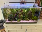 Complete Aquaria set, Dieren en Toebehoren, Vissen | Aquaria en Toebehoren, Ophalen of Verzenden, Gebruikt, Gevuld zoetwateraquarium