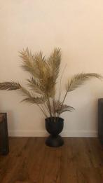 Gouden plant, Ophalen of Verzenden, Zo goed als nieuw