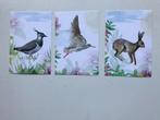 3 Dierenansichtkaarten 2 vogels en Konijn., Verzenden, 1980 tot heden, Ongelopen, Vogel
