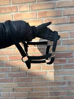 Veulen / Shet / Pony halster, Ophalen of Verzenden, Zo goed als nieuw, Overige soorten