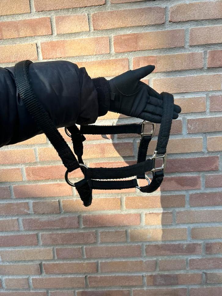 Veulen / Shet / Pony halster, Dieren en Toebehoren, Paarden en Pony's | Hoofdstellen en Tuigage, Zo goed als nieuw, Overige soorten
