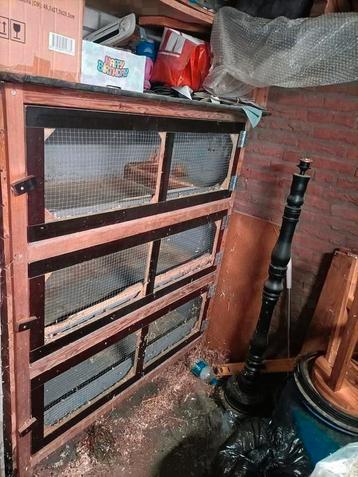 Konijnen knaagdieren flat 3x verdiepingen ziet foto  beschikbaar voor biedingen