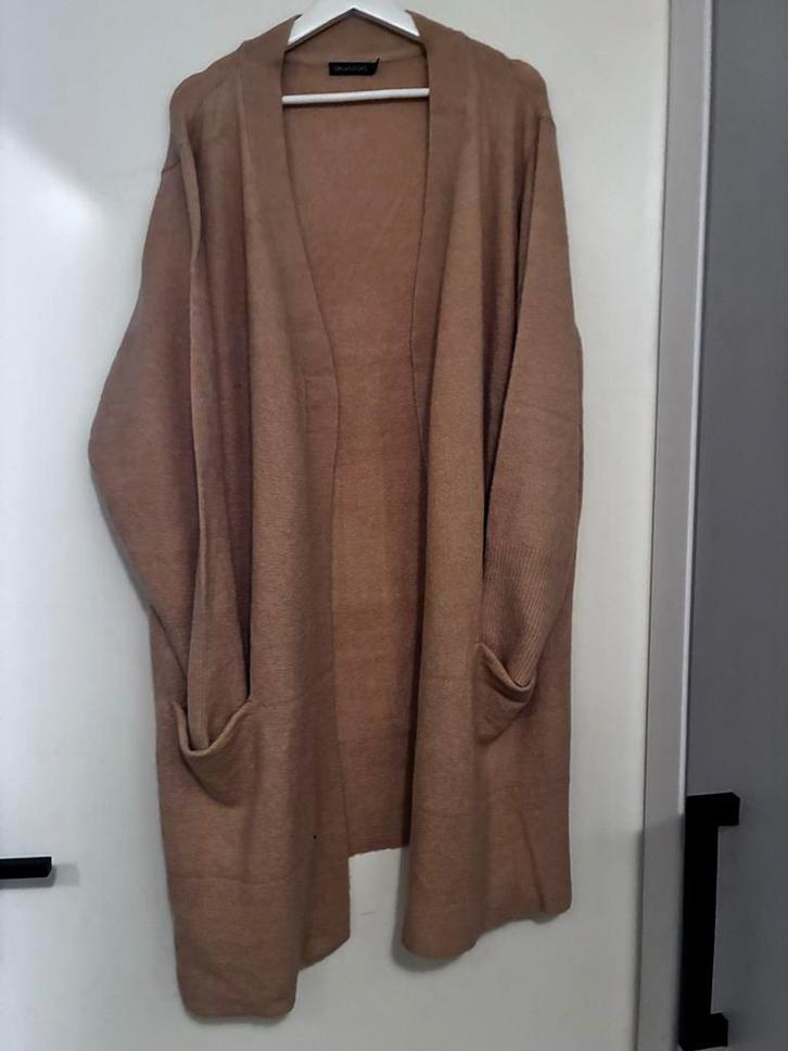Nieuw beige lang vest met zakken, Kleding | Dames, Truien en Vesten, Nieuw, Maat 46/48 (XL) of groter, Beige, Ophalen of Verzenden