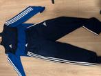 Adidas trainingspak blauw, Blauw, Ophalen of Verzenden, Zo goed als nieuw, Adidas