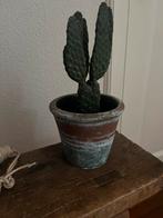 Terra-cotta pot, Ophalen of Verzenden